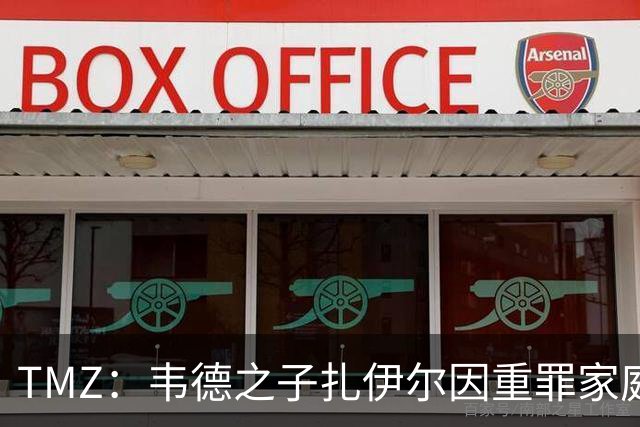 TMZ：韦德之子扎伊尔因重罪家庭暴力被捕 面临3项指控 目前已获释
